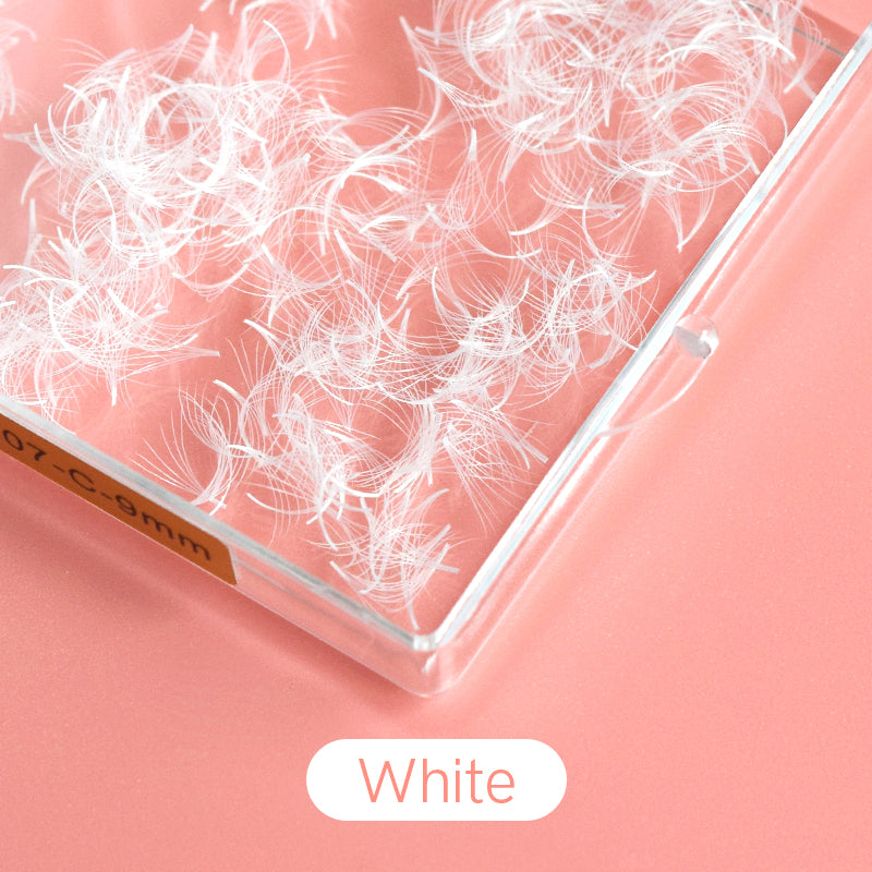 Color Fans Pointy Base